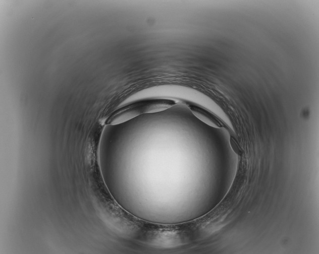 X0000089360651200706221201