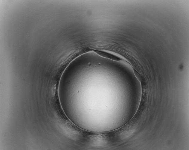 X0000089360652200706221201