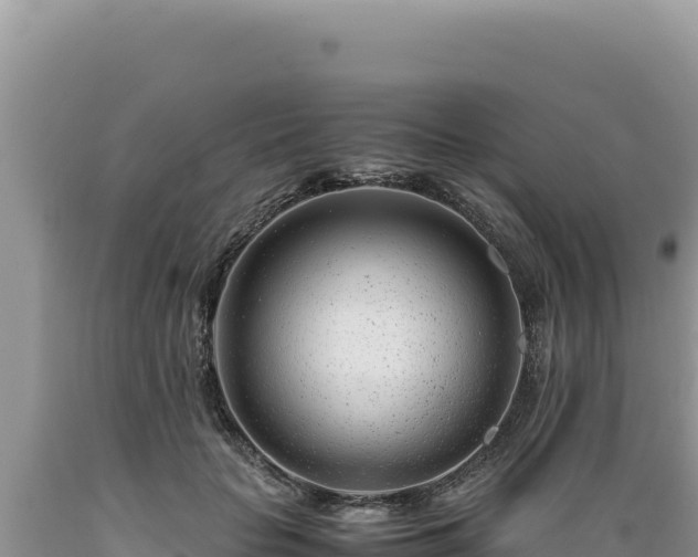 X0000089360653200706221201