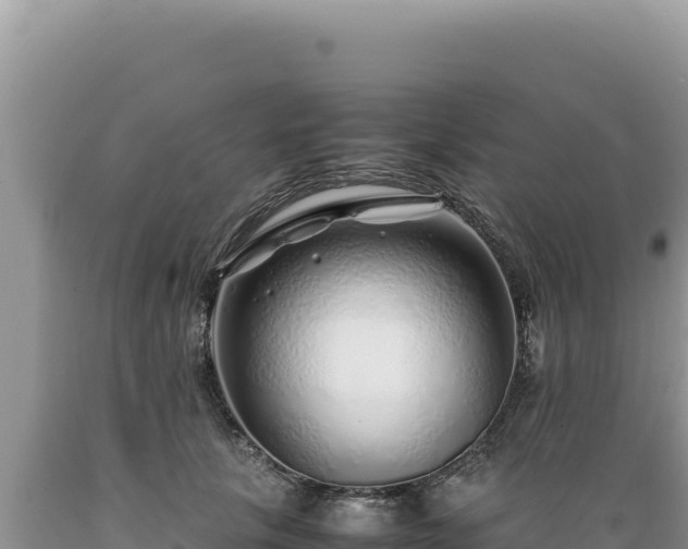 X0000089360657200706221201
