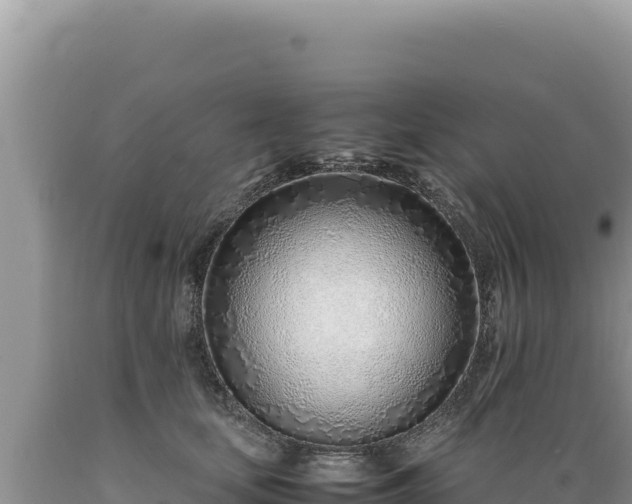 X0000089360659200706221201