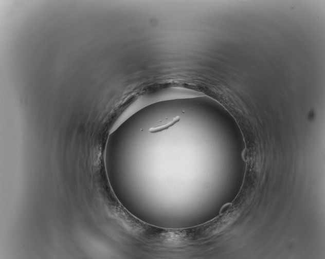 X0000089360660200706221201