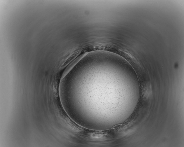 X0000089360661200706221201
