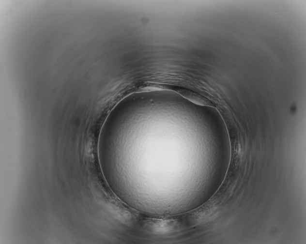 X0000089360663200706221201