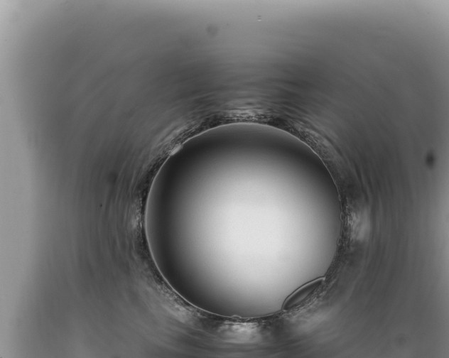 X0000089360665200706221201