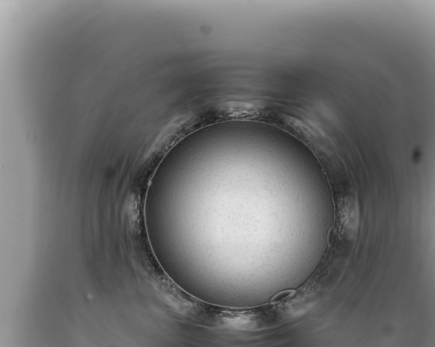 X0000089360667200706221201