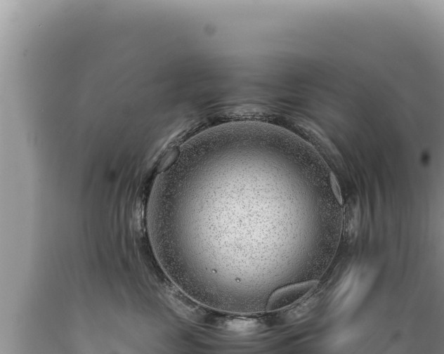 X0000089360669200706221201