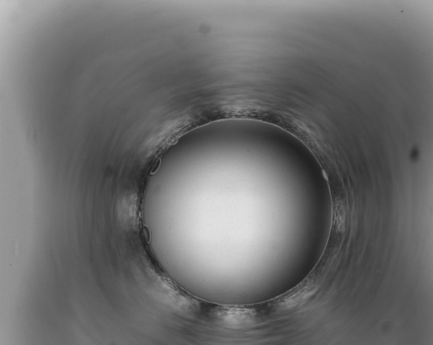 X0000089360670200706221201