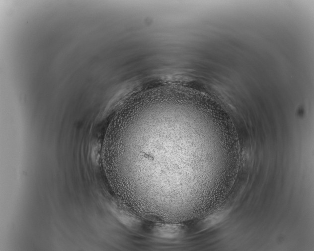 X0000089360671200706221201
