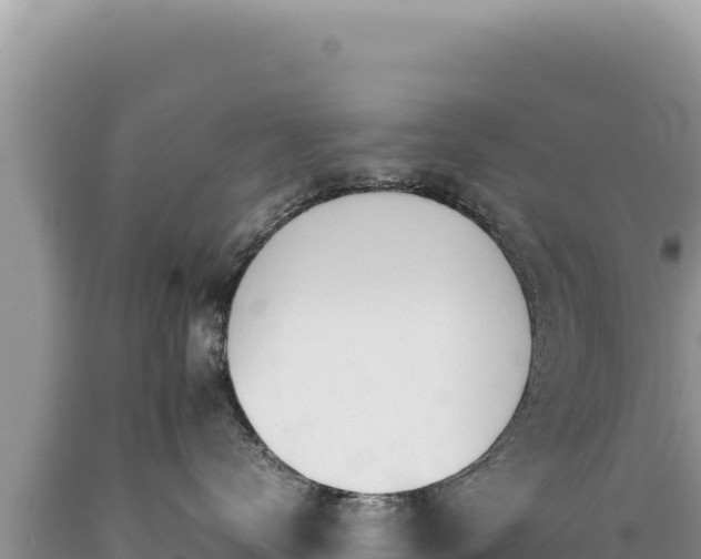 X0000089360672200706221201