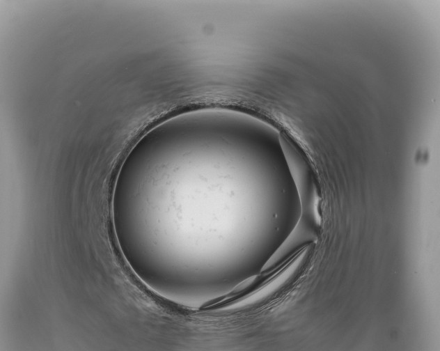 X0000089360673200706221200