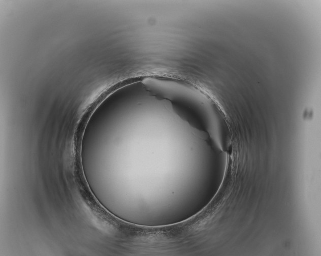 X0000089360674200706221200