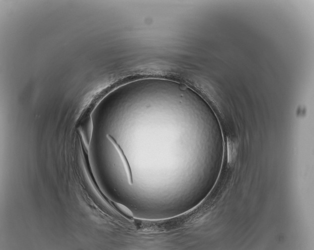 X0000089360675200706221200