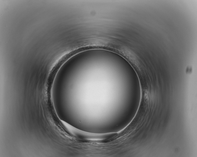 X0000089360676200706221200
