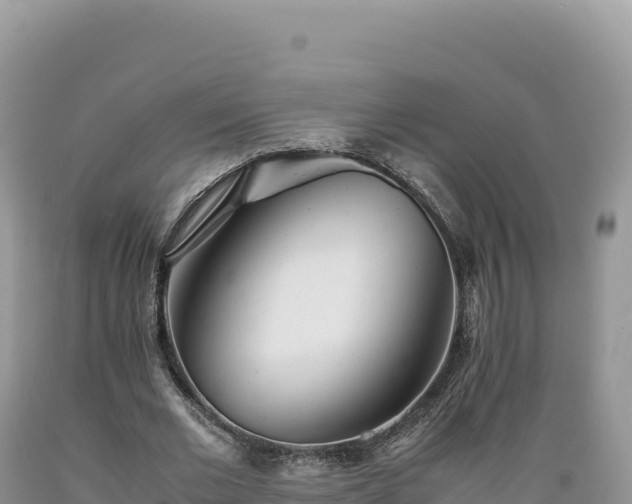 X0000089360677200706221200