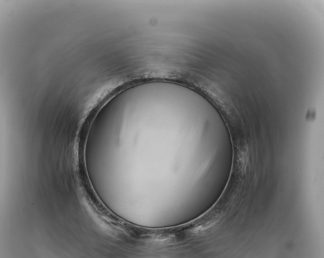 X0000089360678200706221200