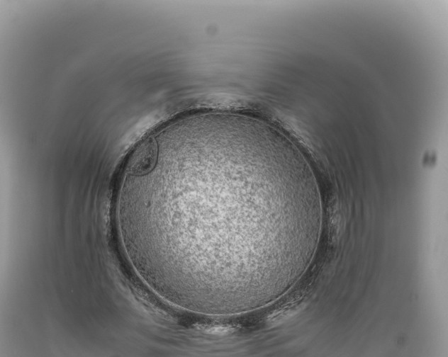 X0000089360679200706221200