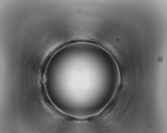 X0000089360680200706221200