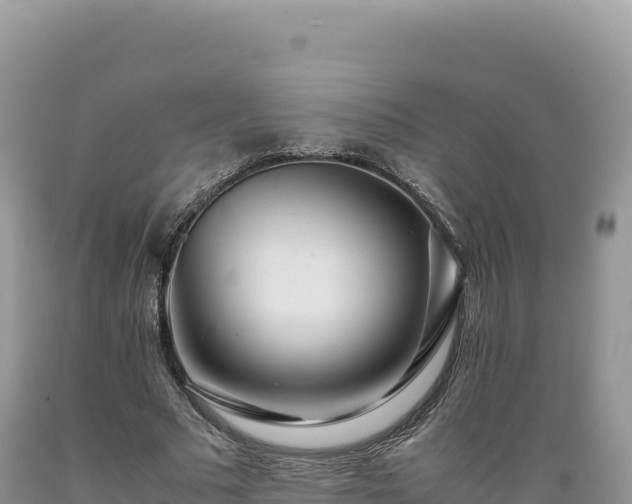 X0000089360681200706221200
