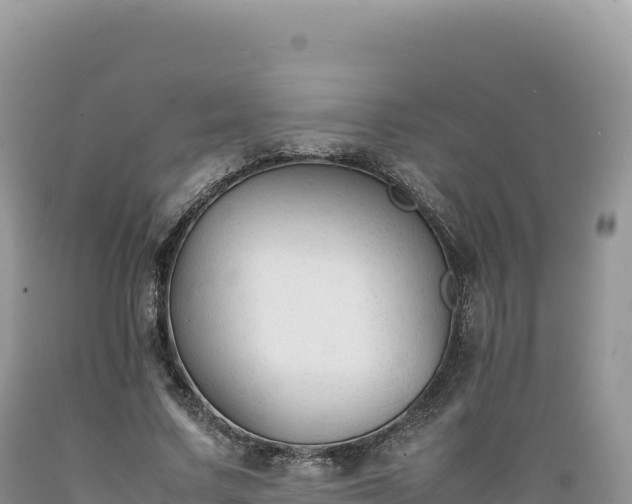 X0000089360683200706221200