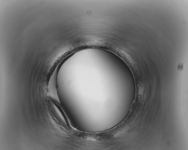 X0000089360684200706221200