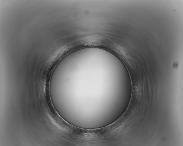 X0000089360686200706221200