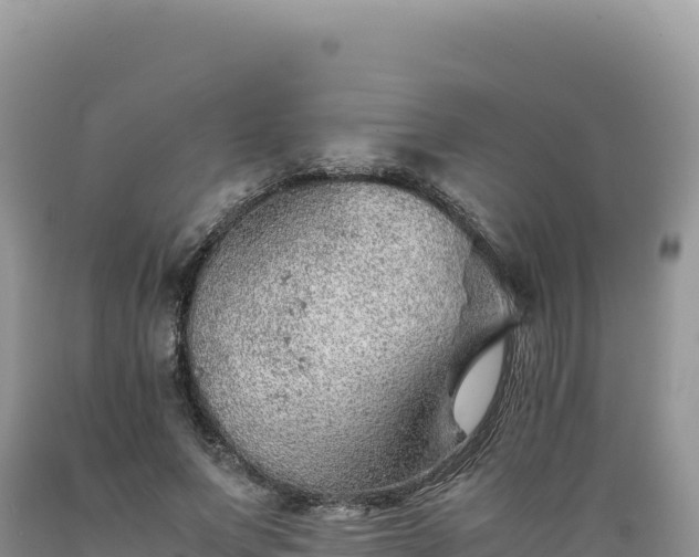 X0000089360687200706221200