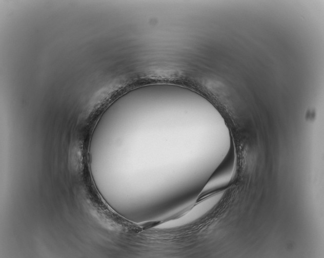 X0000089360688200706221200