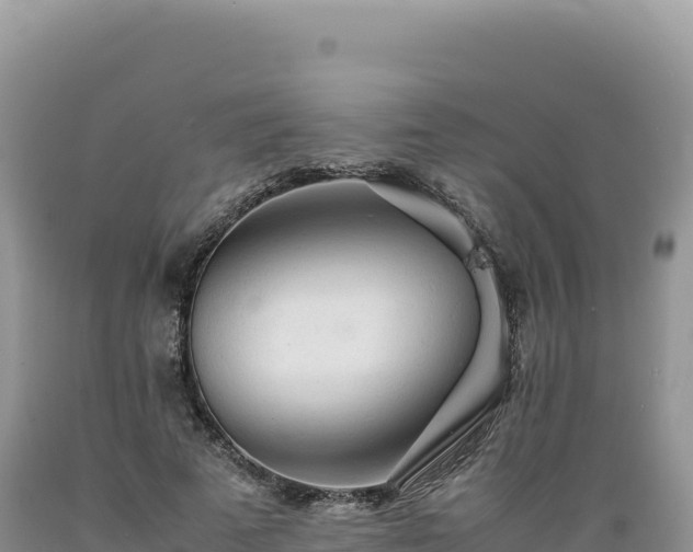 X0000089360689200706221200
