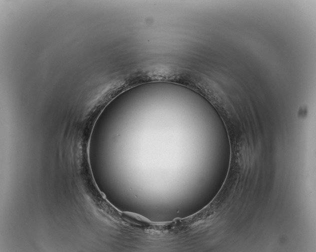 X0000089360690200706221200