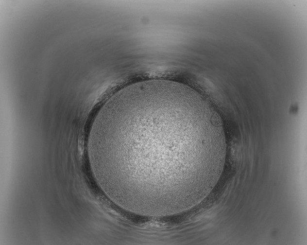 X0000089360691200706221200