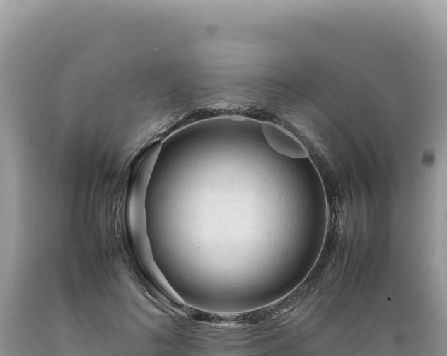 X0000089360692200706221200