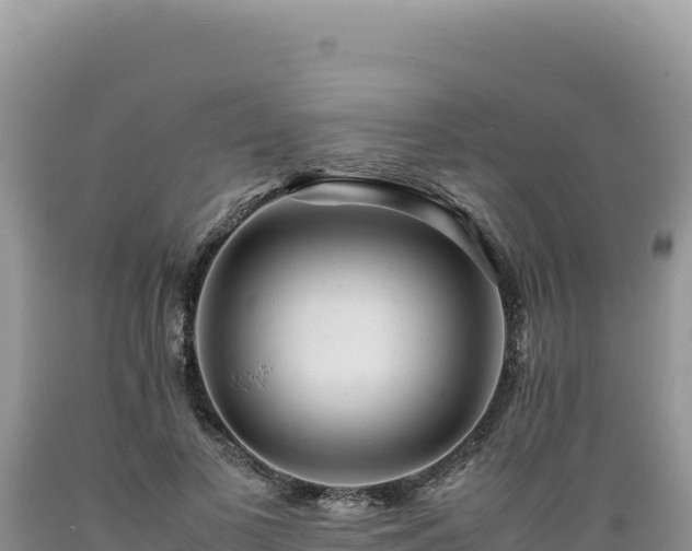 X0000089360693200706221200