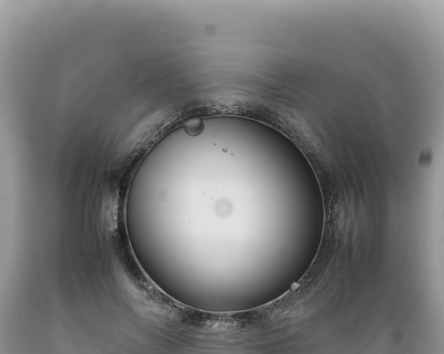 X0000089360694200706221200