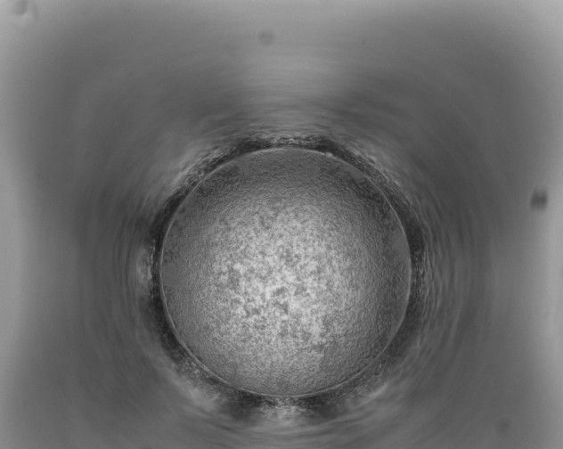 X0000089360695200706221200