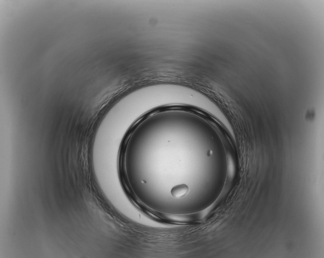 X0000089360696200706221200