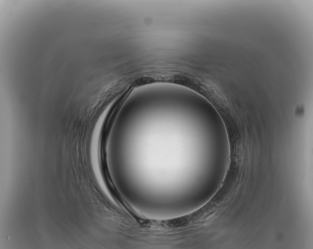 X0000089360697200706221200
