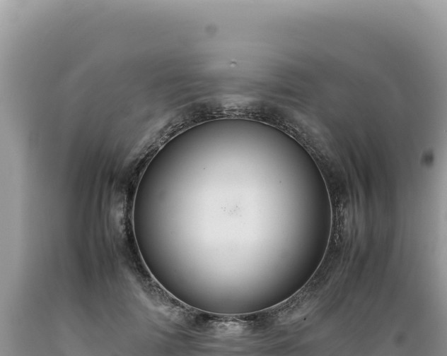 X0000089360698200706221200