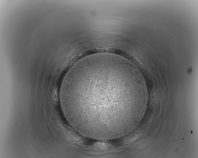 X0000089360699200706221200