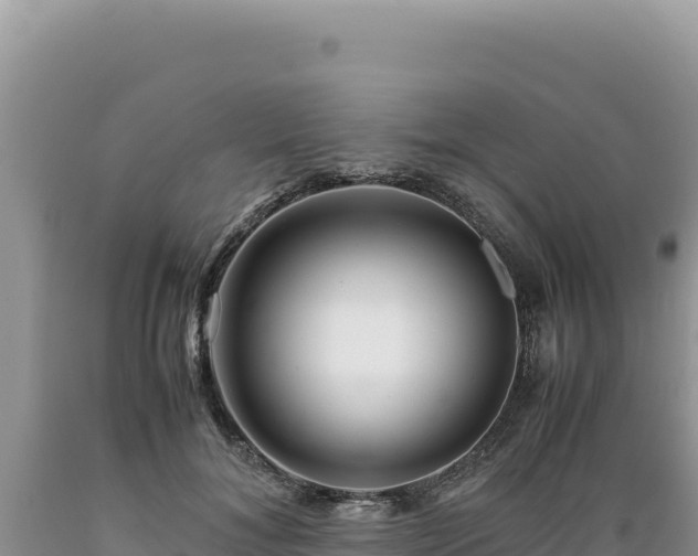 X0000089360700200706221200