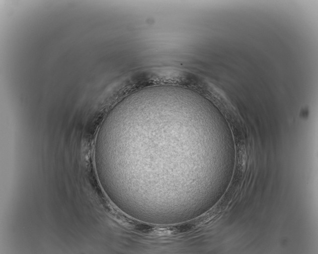 X0000089360701200706221200
