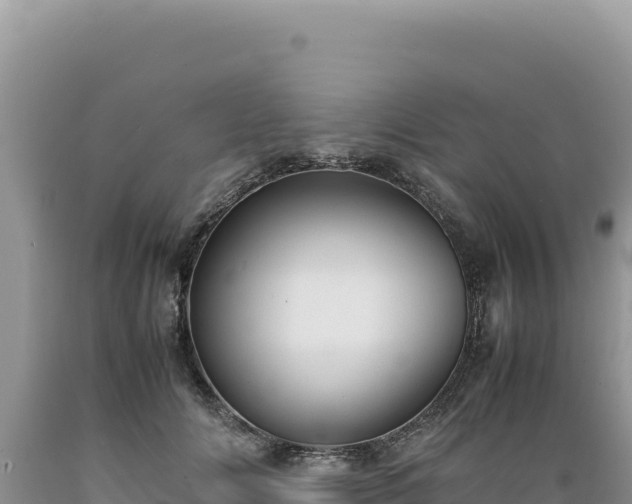 X0000089360702200706221200