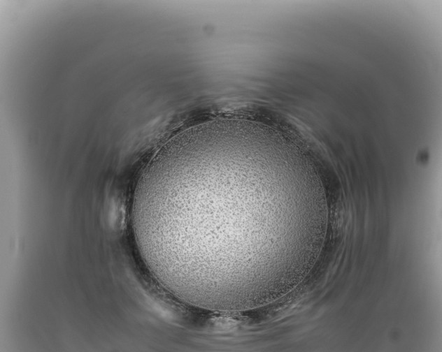 X0000089360703200706221200