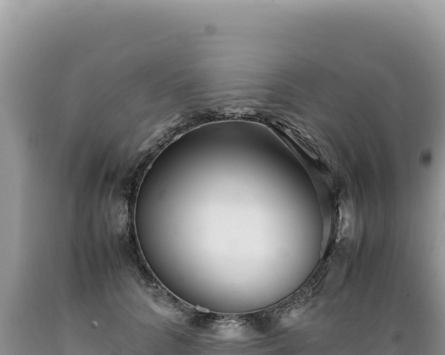 X0000089360704200706221200