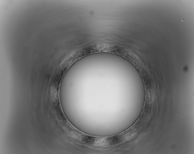 X0000089360705200706221200