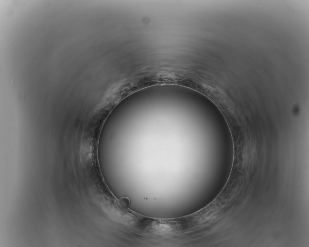 X0000089360706200706221200