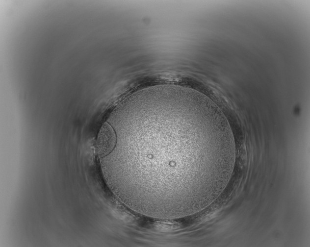 X0000089360707200706221200