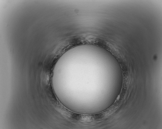 X0000089360709200706221200