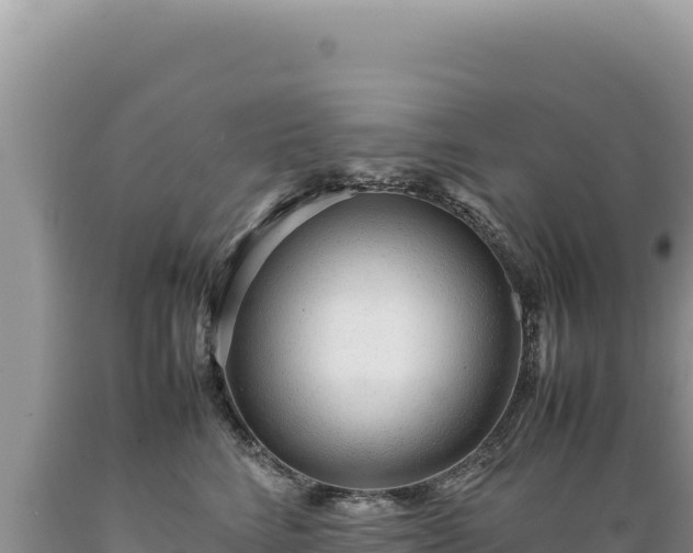 X0000089360712200706221200