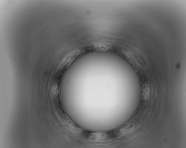 X0000089360713200706221200